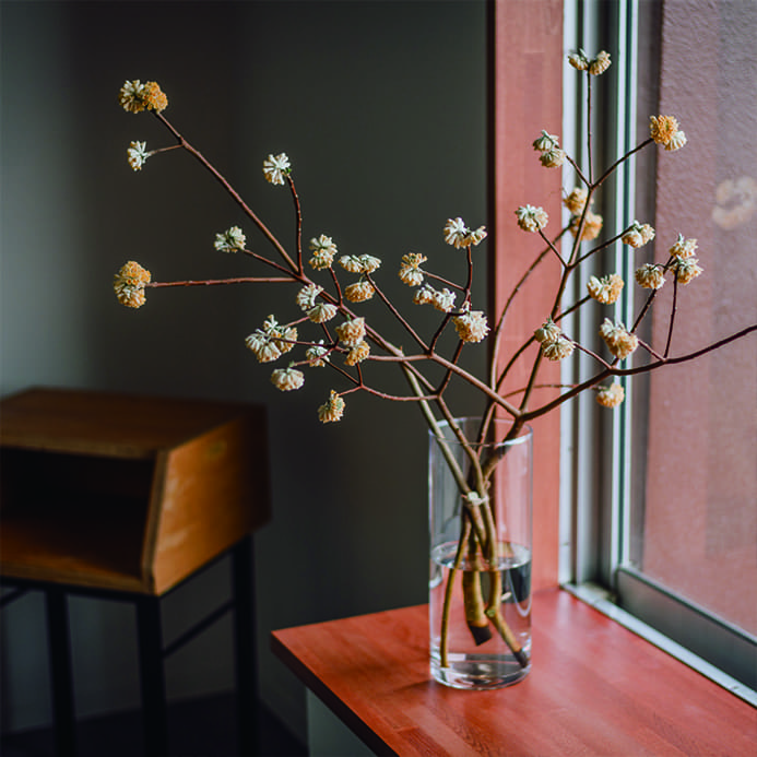 秋田市南通りの美容室サルーン（SALOON）